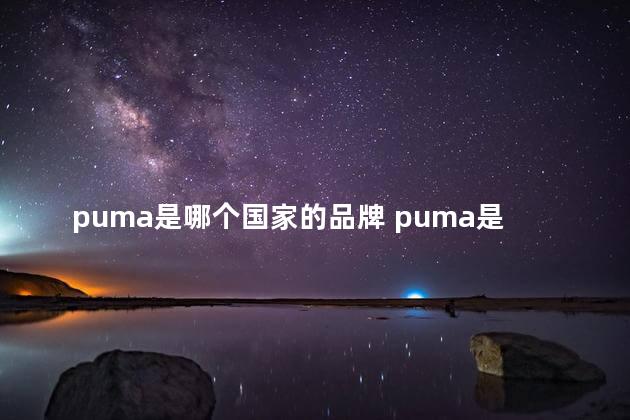 puma是哪个国家的品牌 puma是什么档次的